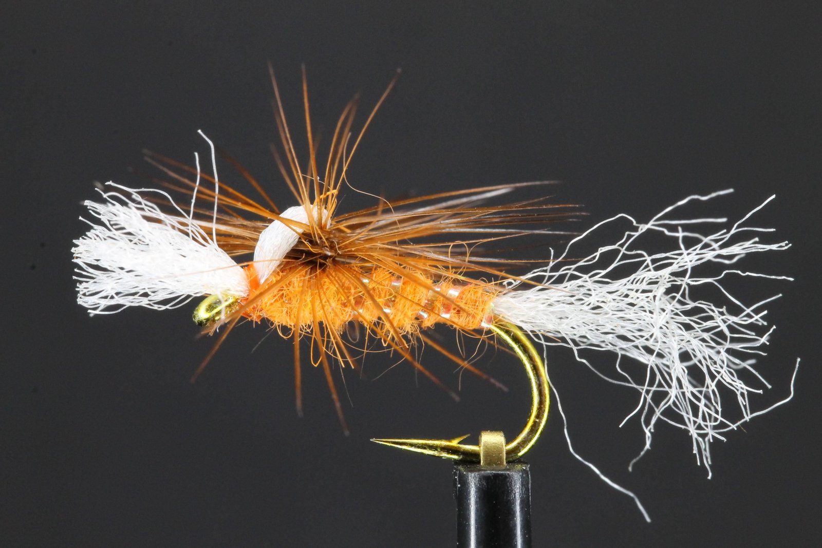 Big Ginger scaled Big Ginger scaled