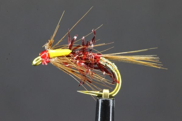 Red Straggler Diawl Bach scaled