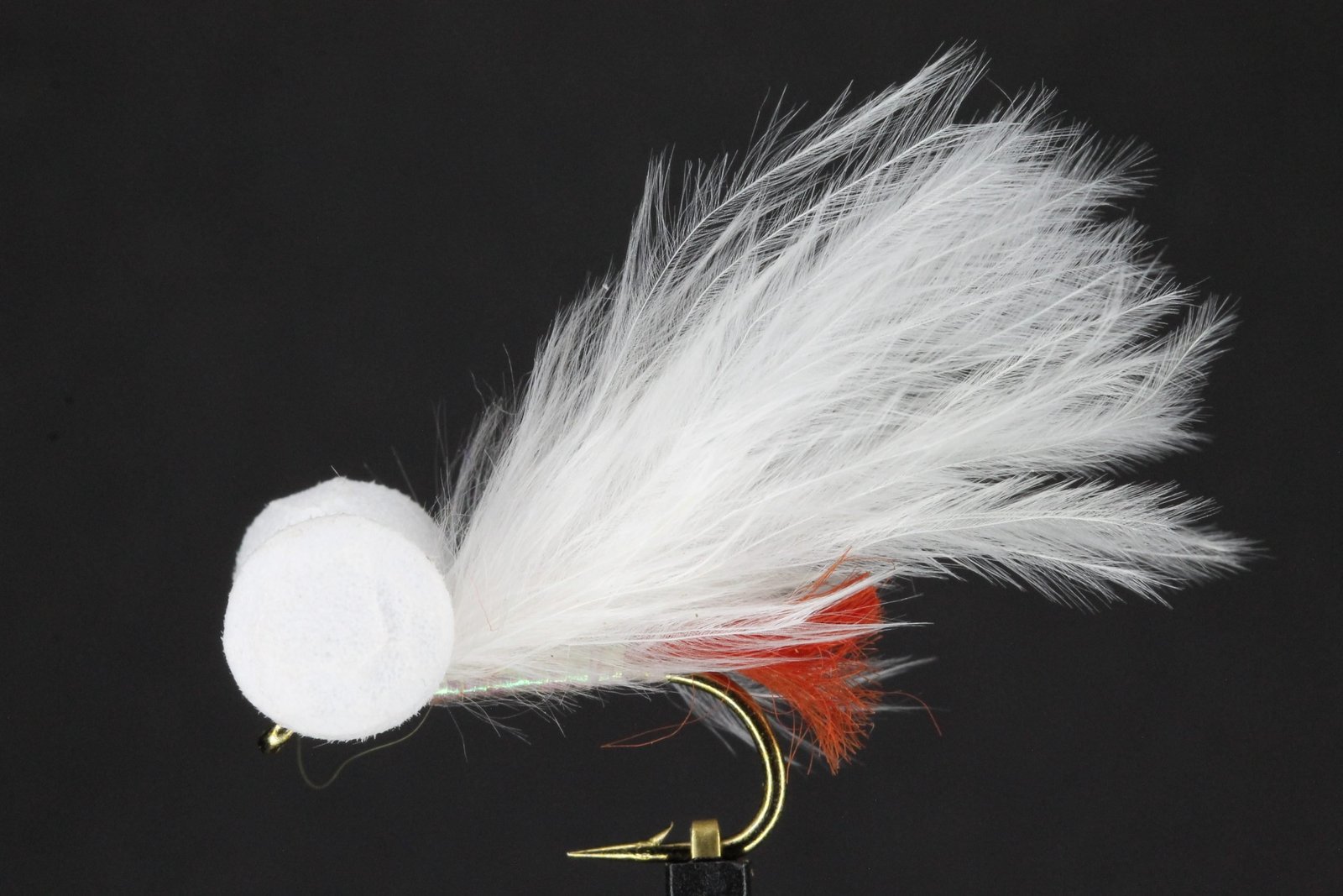 Red Tag Cats Whisker White Booby scaled Red Tag Cats Whisker White Booby scaled