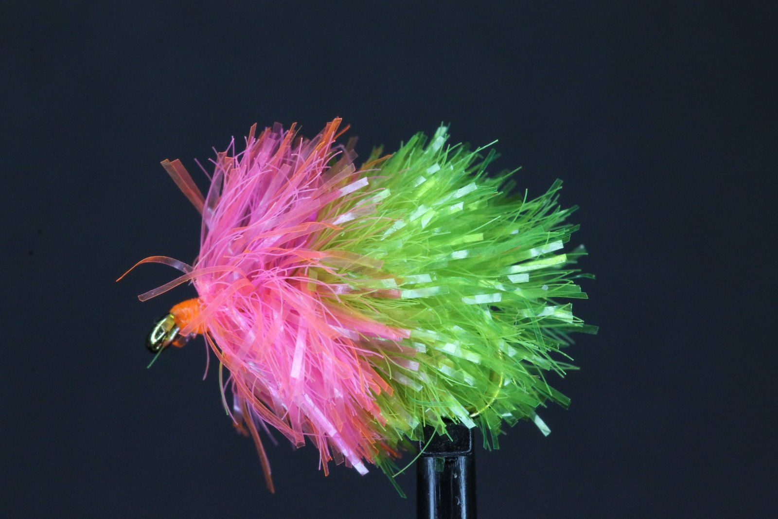 Watermelon Blob scaled