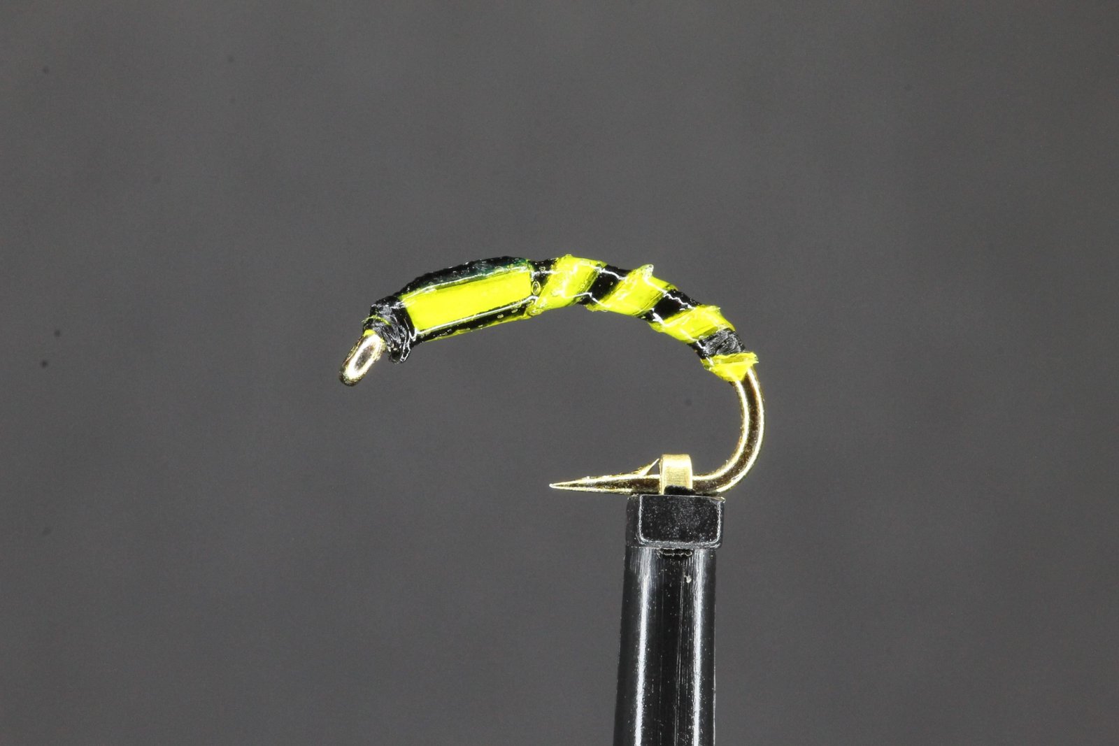Yellow Floss Black Buzzer Yellow Cheeks scaled