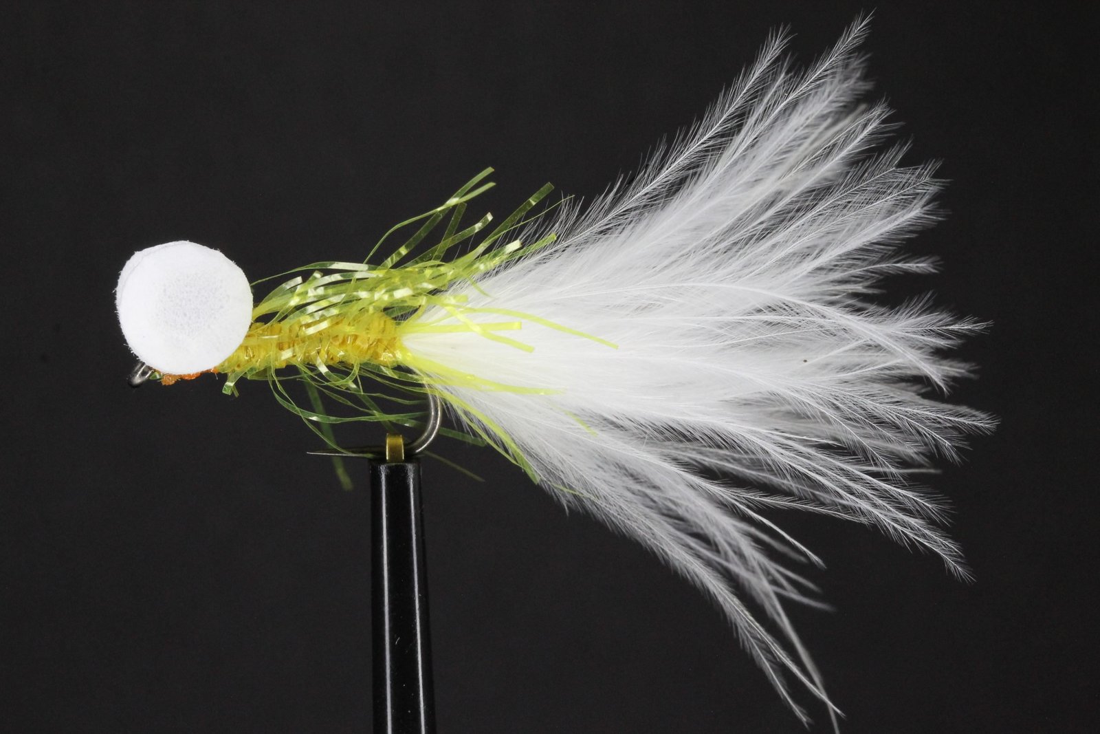 Yellow Straggler White Tail Booby scaled Yellow Straggler White Tail Booby scaled