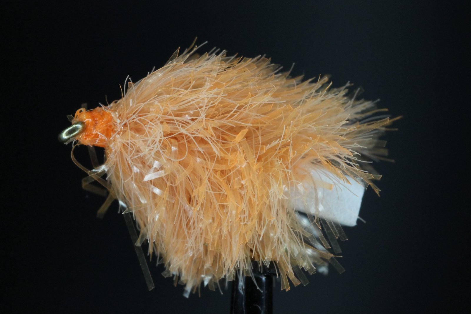 Biscuit Half Tail FAB scaled