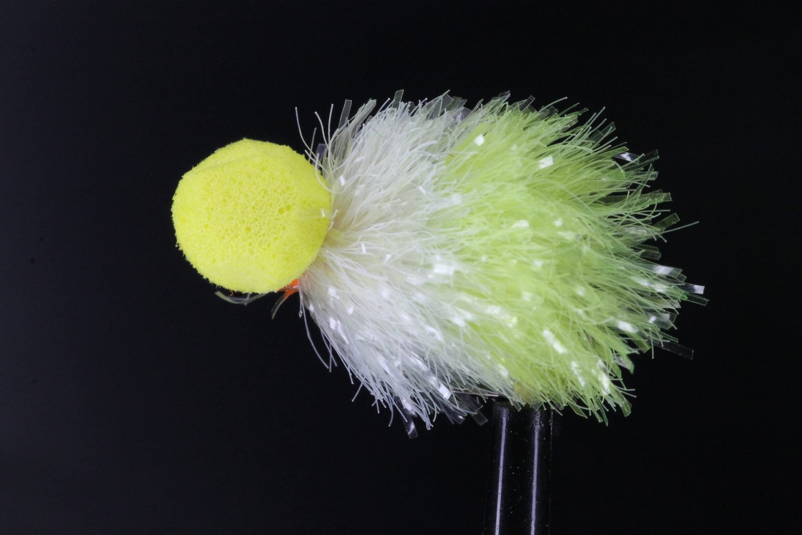 Melon Booby Melon Booby