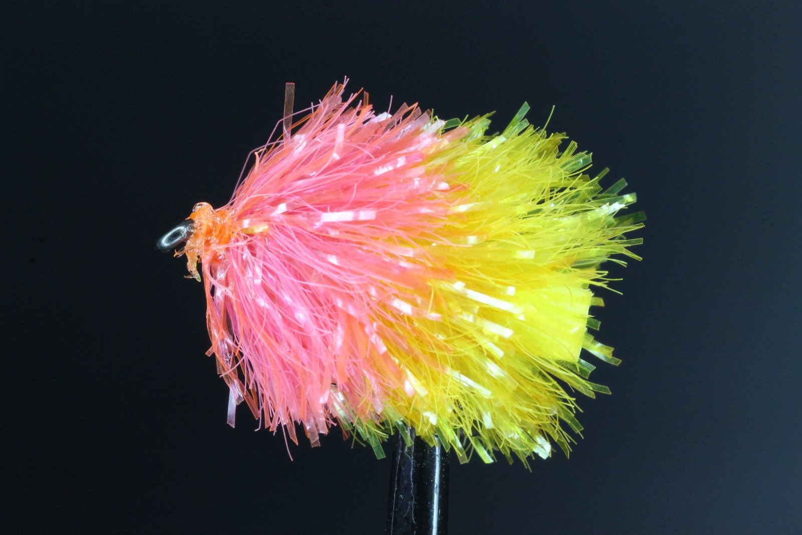 Rose and Gold FAB scaled Rose and Gold FAB scaled