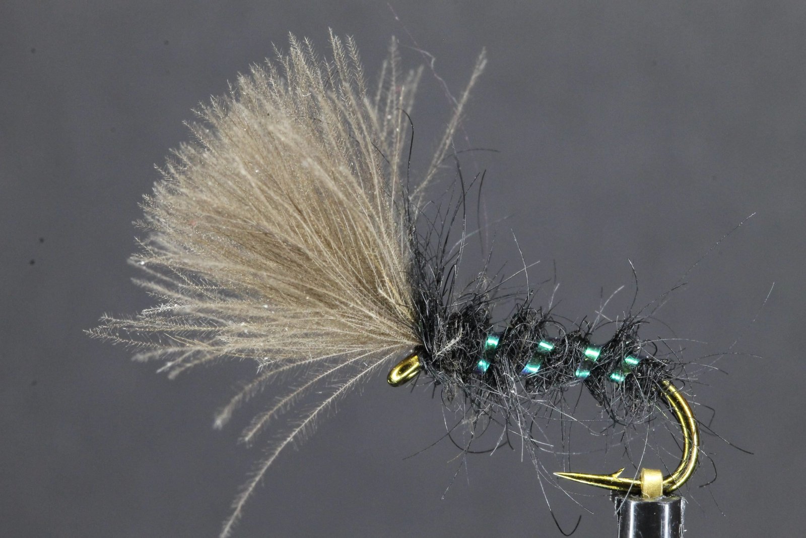 Black Pearl Rib CDC Owl