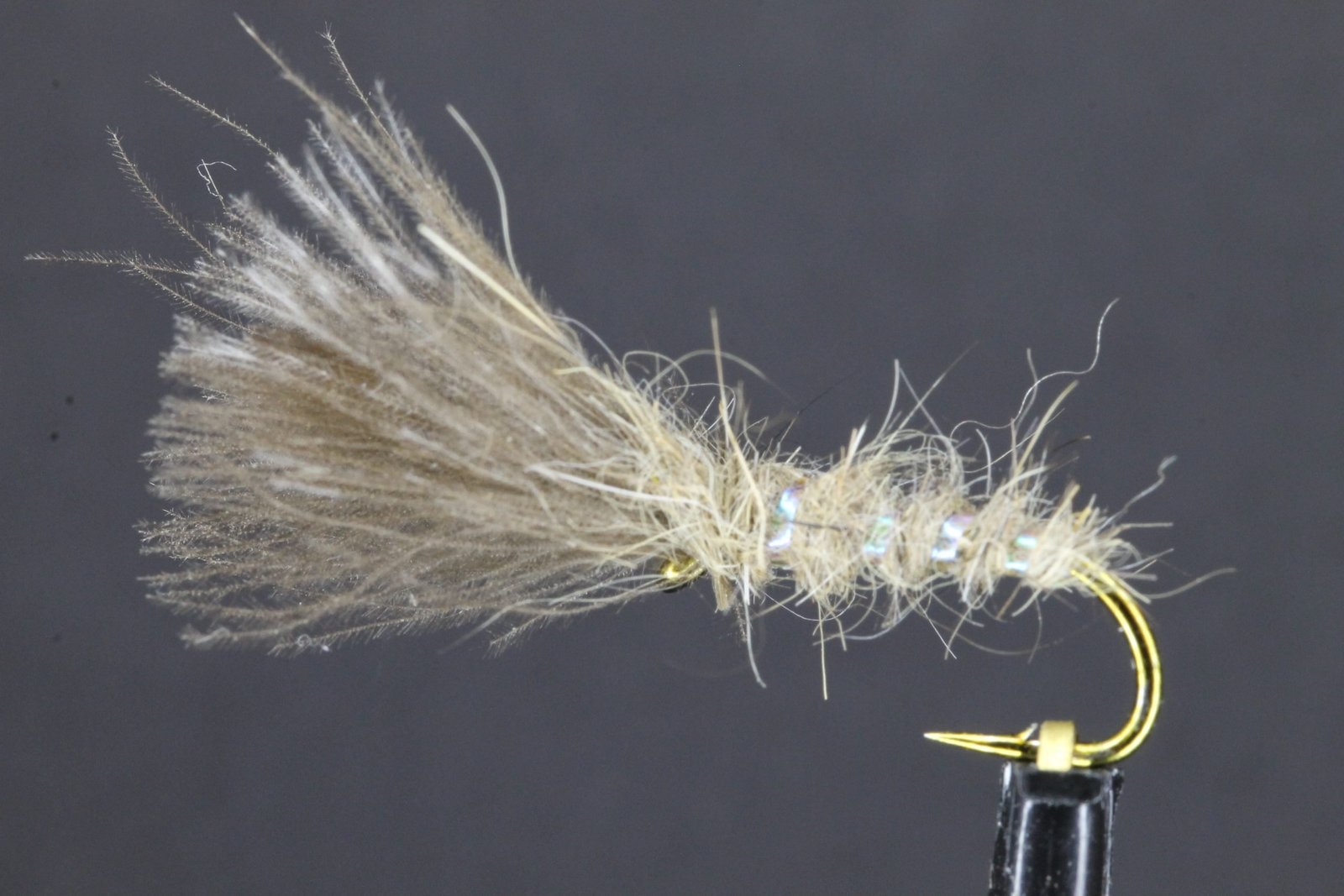 Hares Ear Pearl Rib CDC Owl