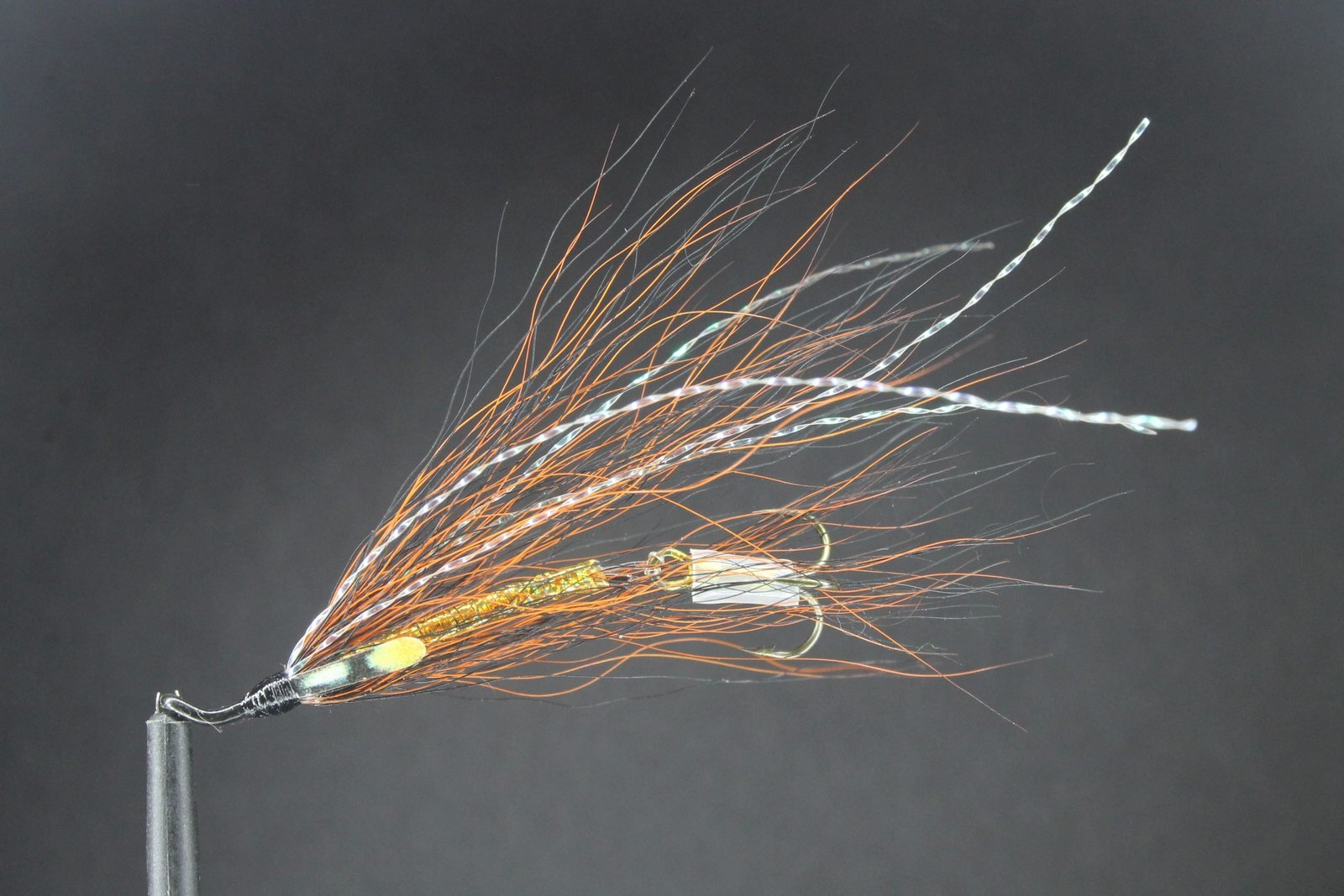 Pearly Willie Gunn Waddington