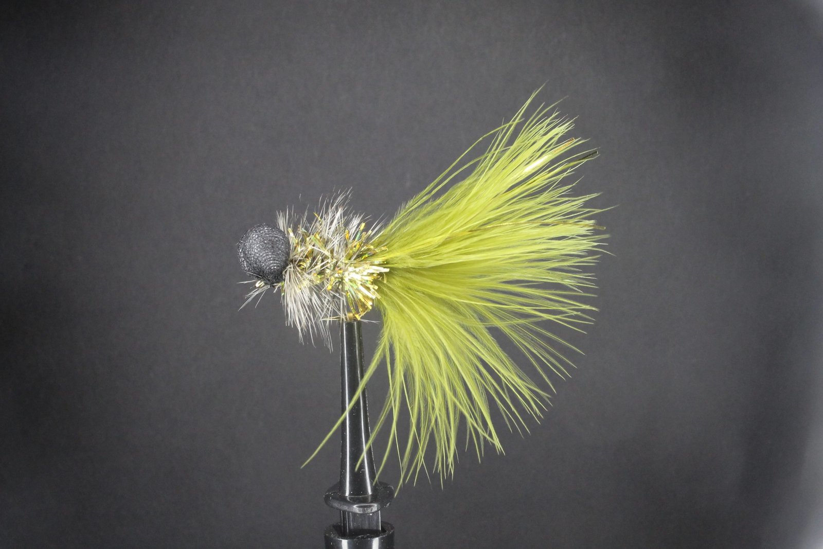 Olive and Gold Humongous Booby Olive and Gold Humongous Booby