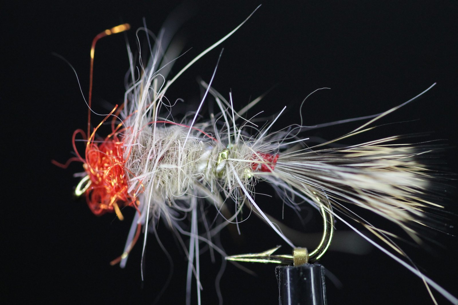 Scruffy Orange Head Hares Ear Scruffy Orange Head Hares Ear