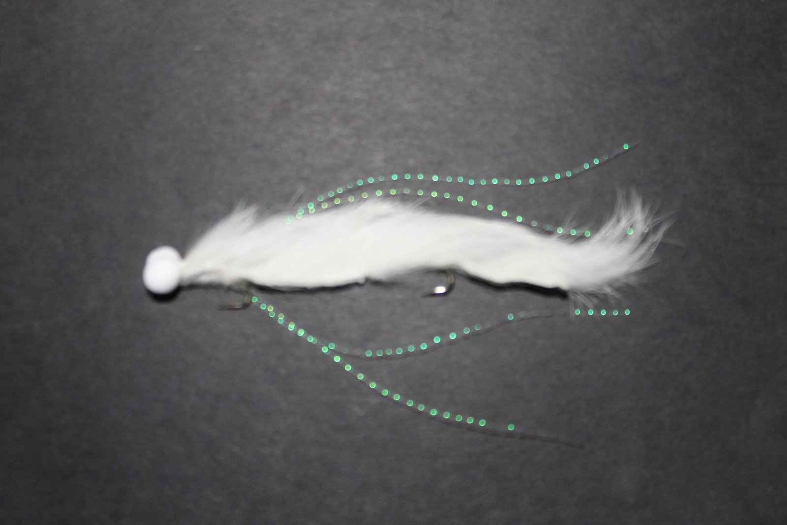 White Booby Snake White Booby Snake