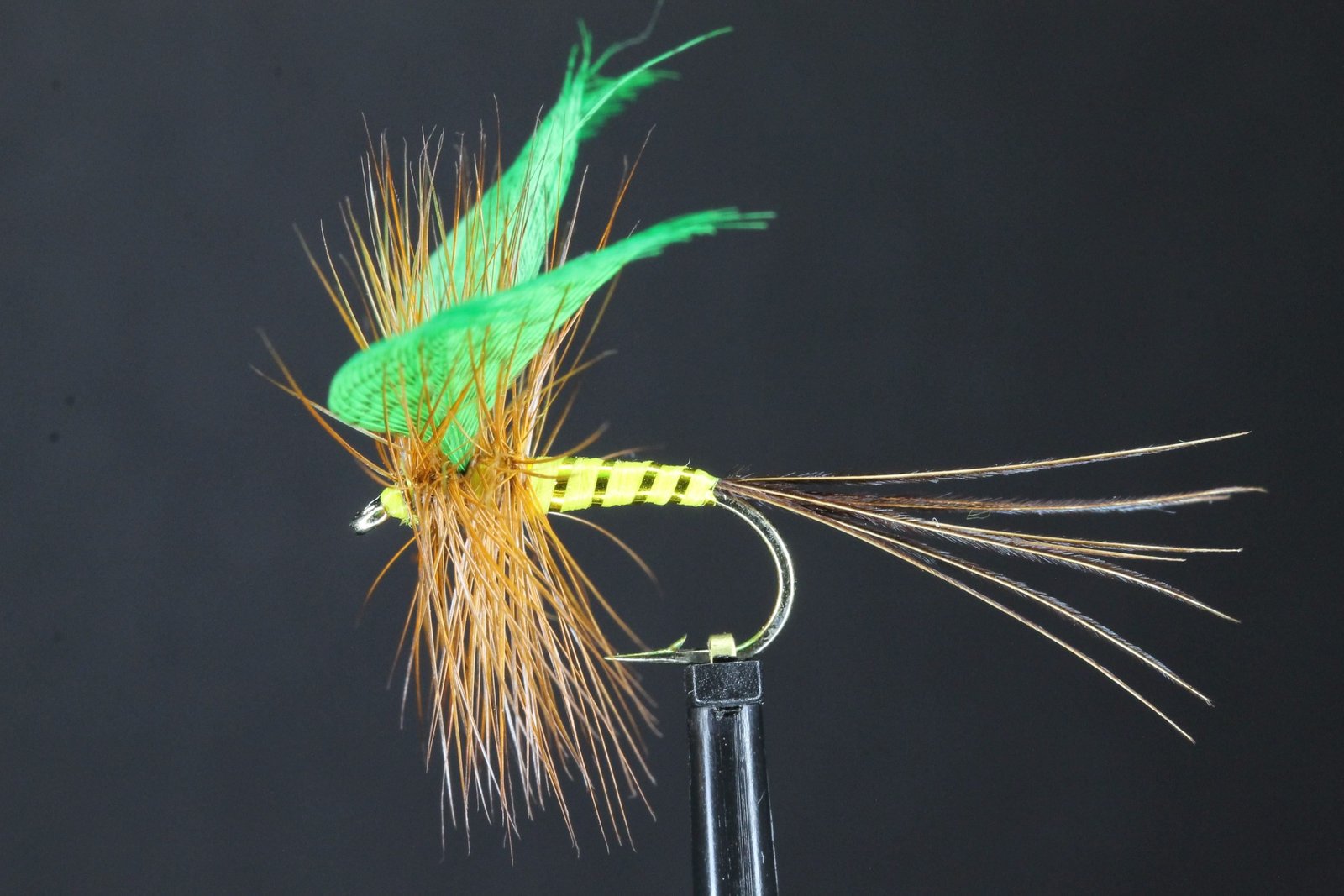 file scaled file scaled