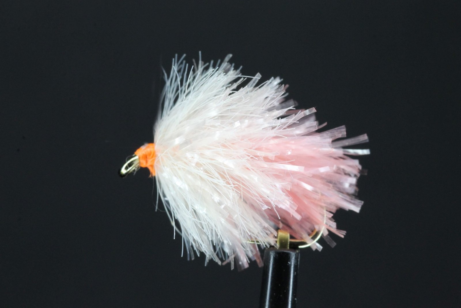 file scaled file scaled