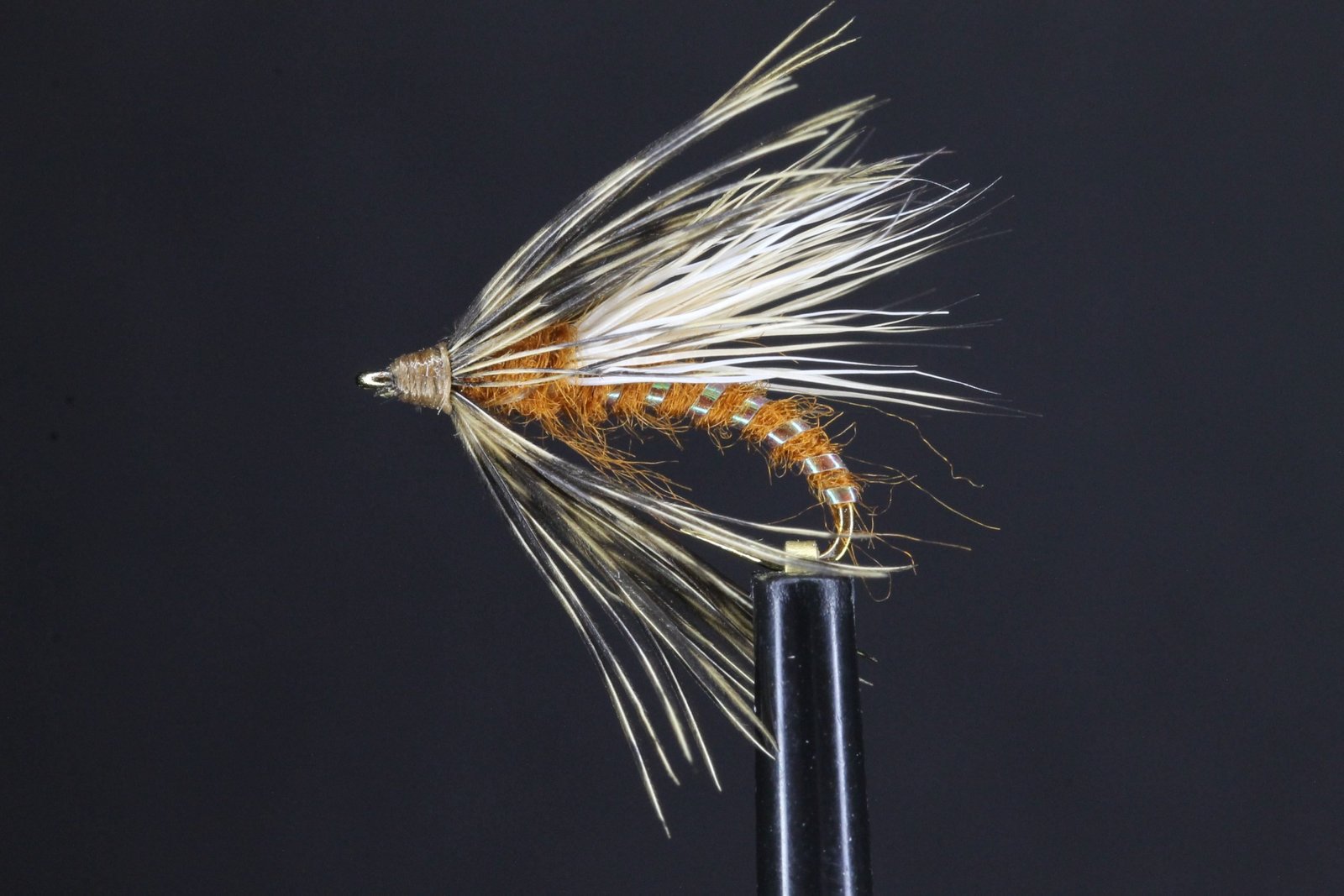 file scaled file scaled