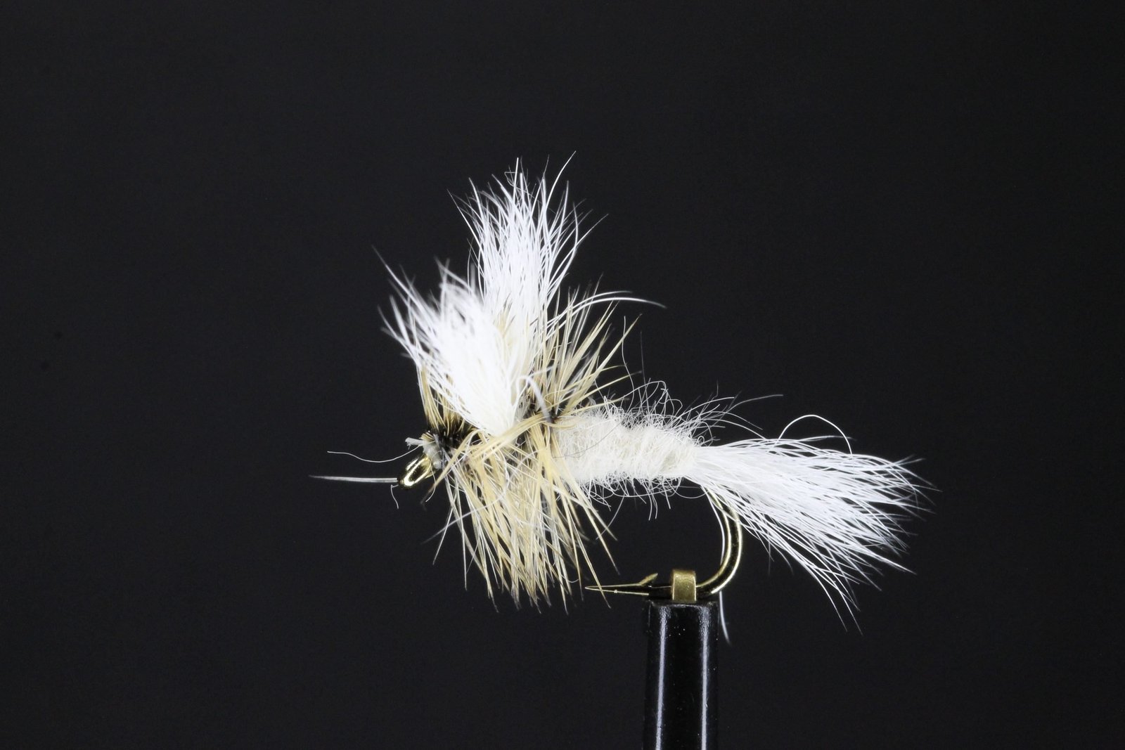 file scaled file scaled