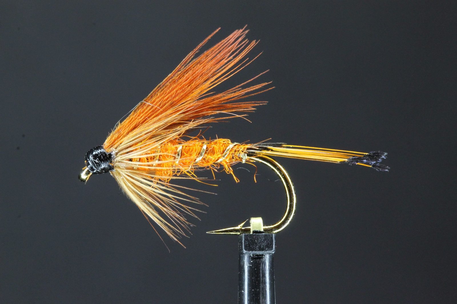 Grouse and Orange Grouse and Orange