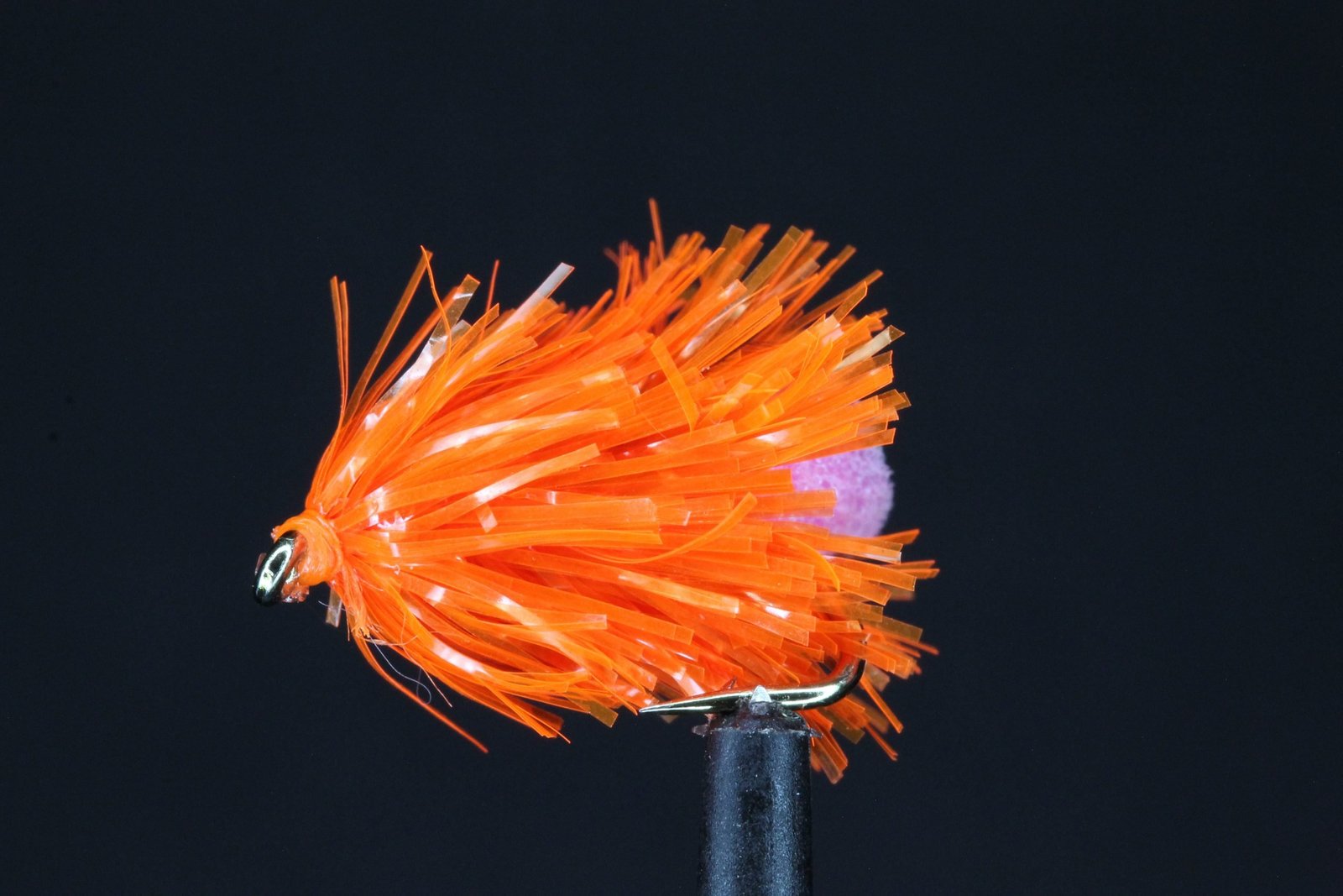 file scaled file scaled