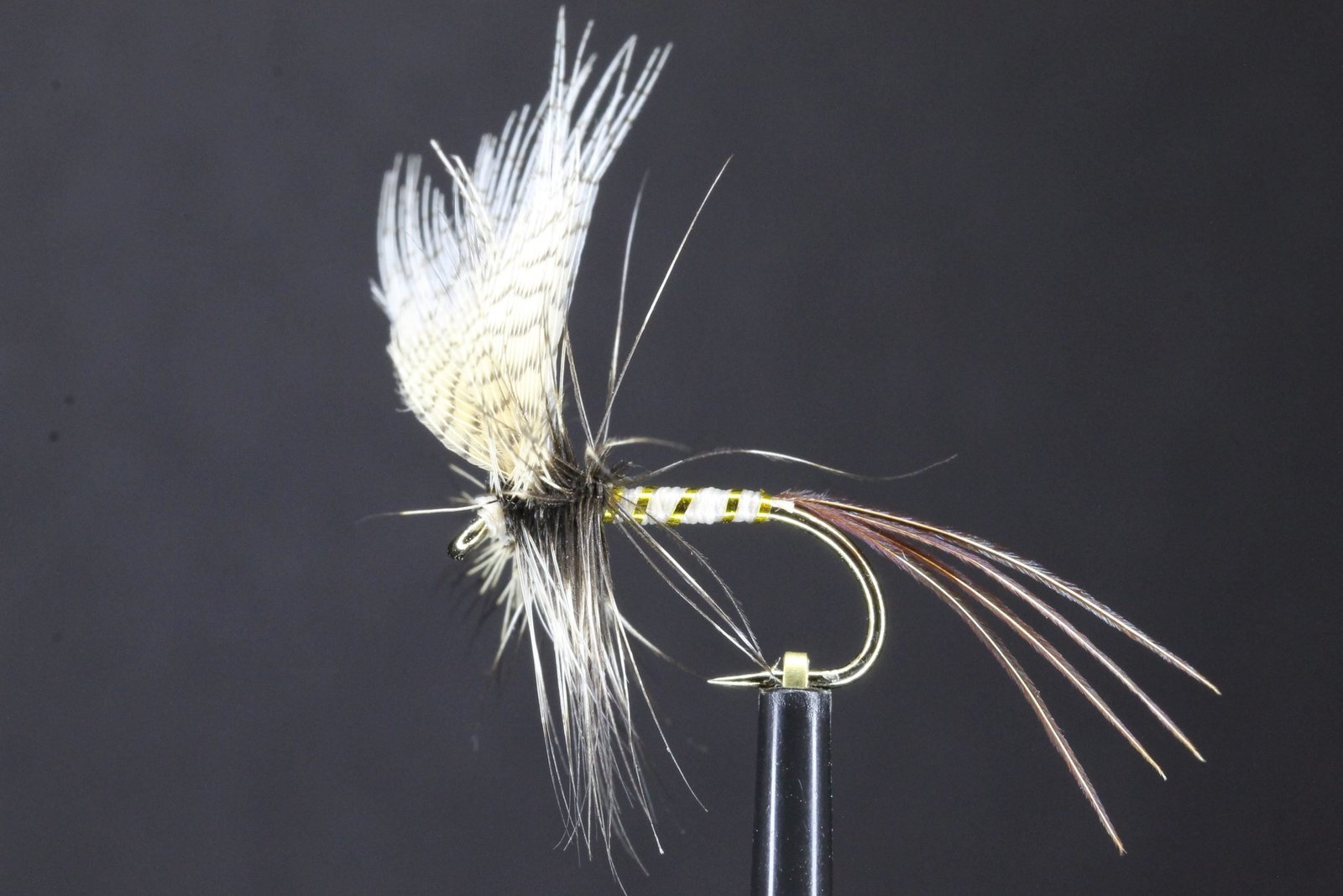 file scaled file scaled