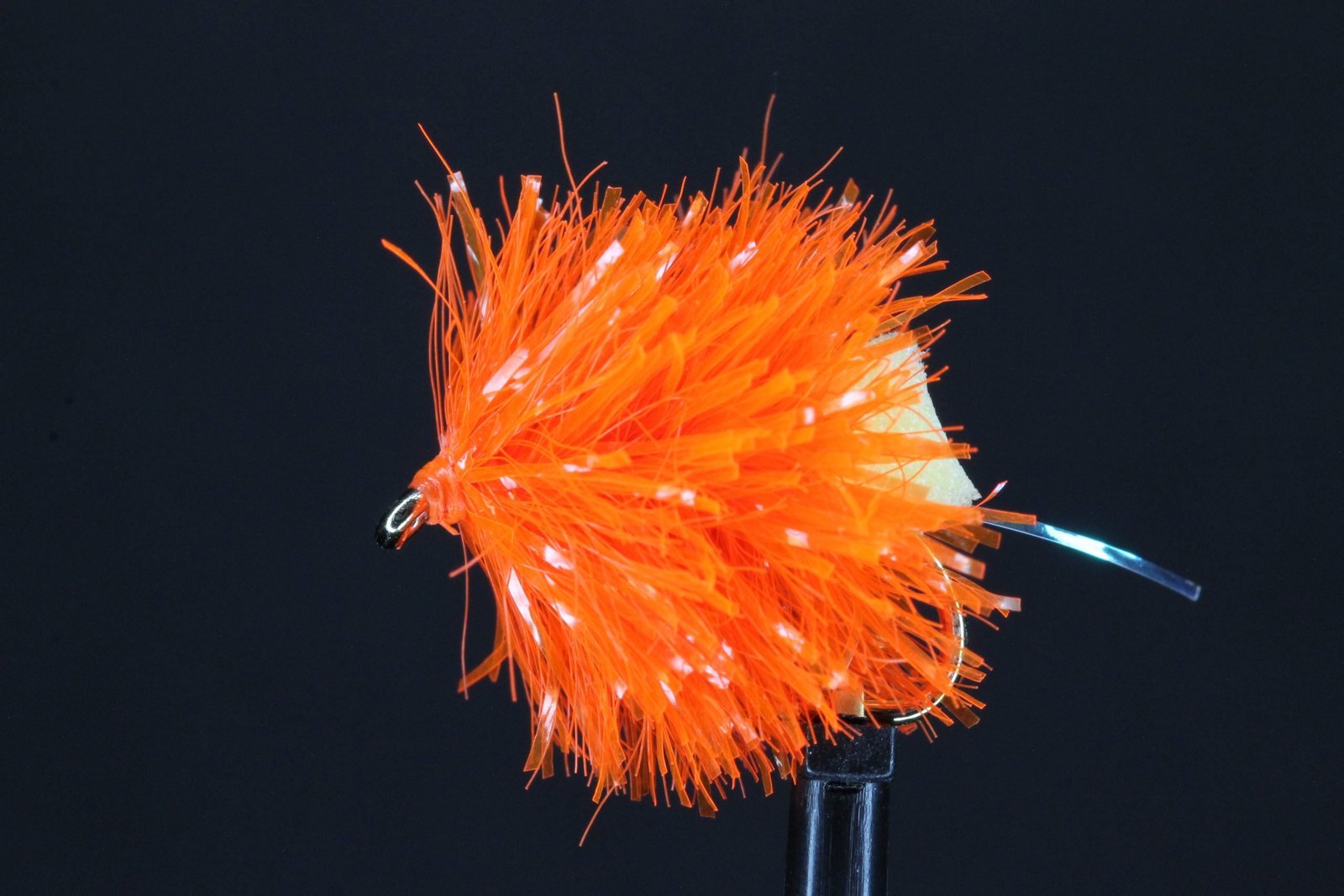 file scaled file scaled