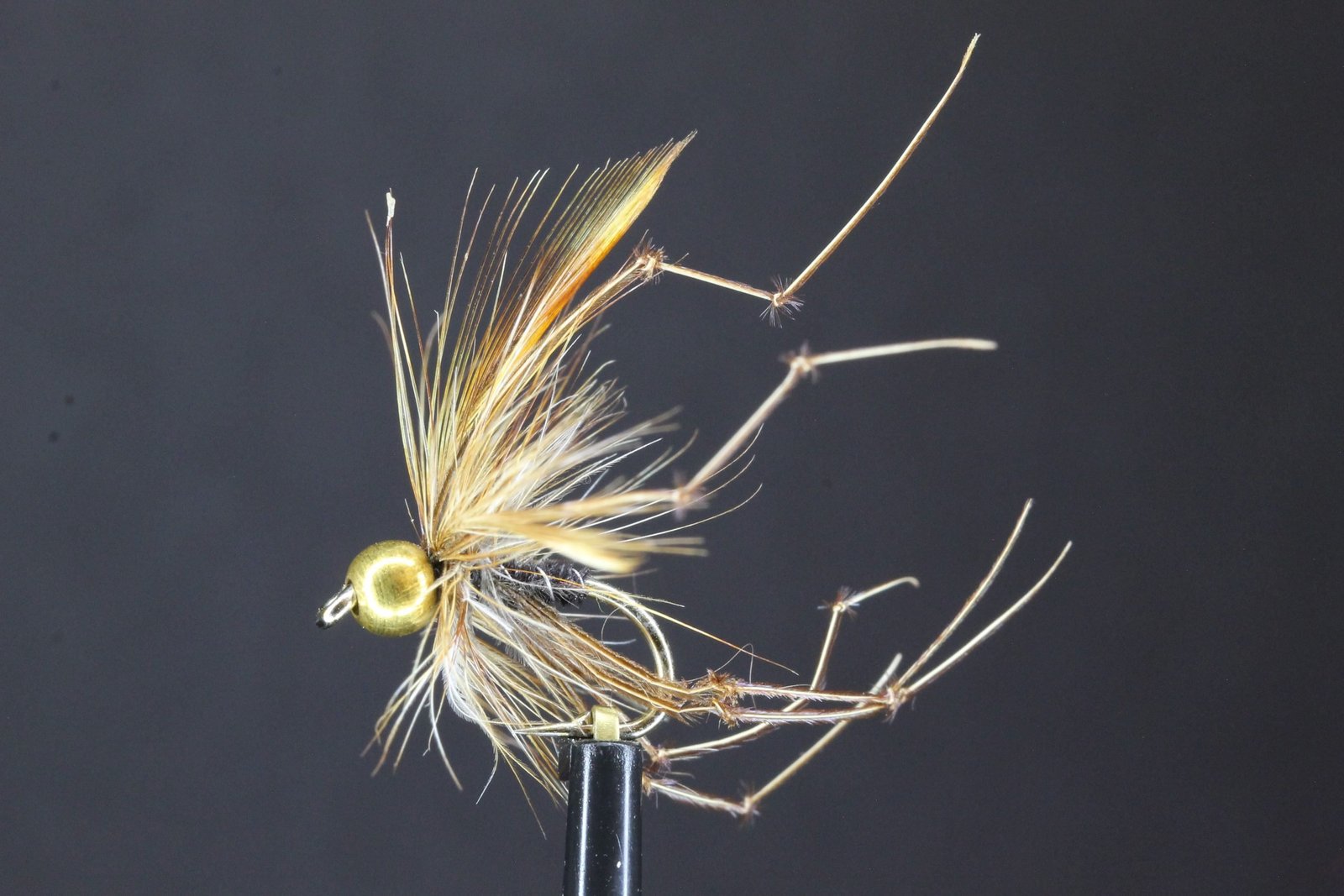 file scaled file scaled