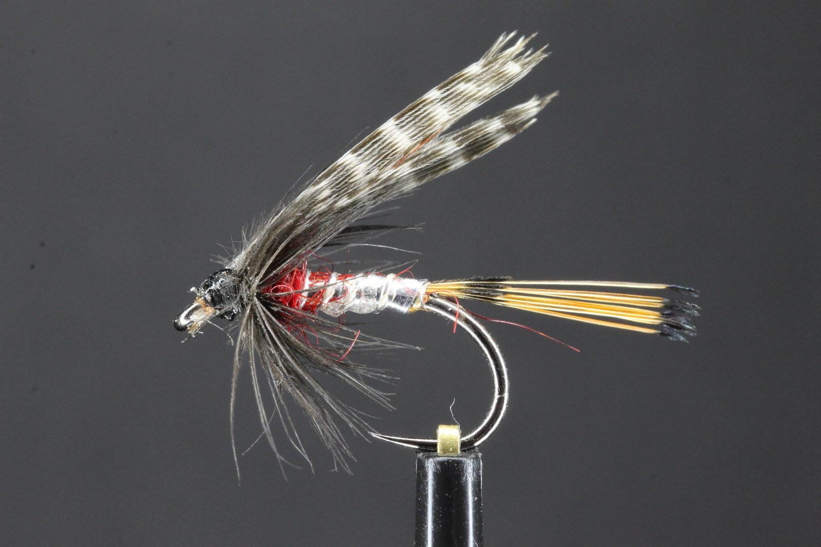 file scaled file scaled