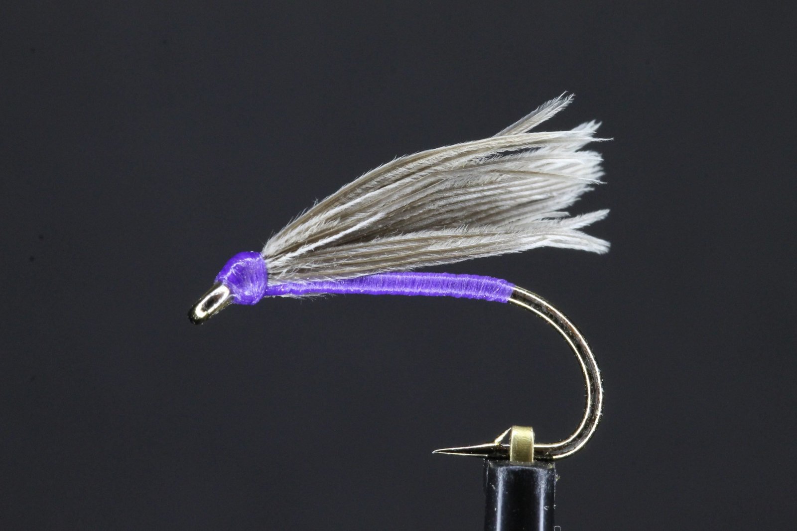 Snipe and Purple Snipe and Purple