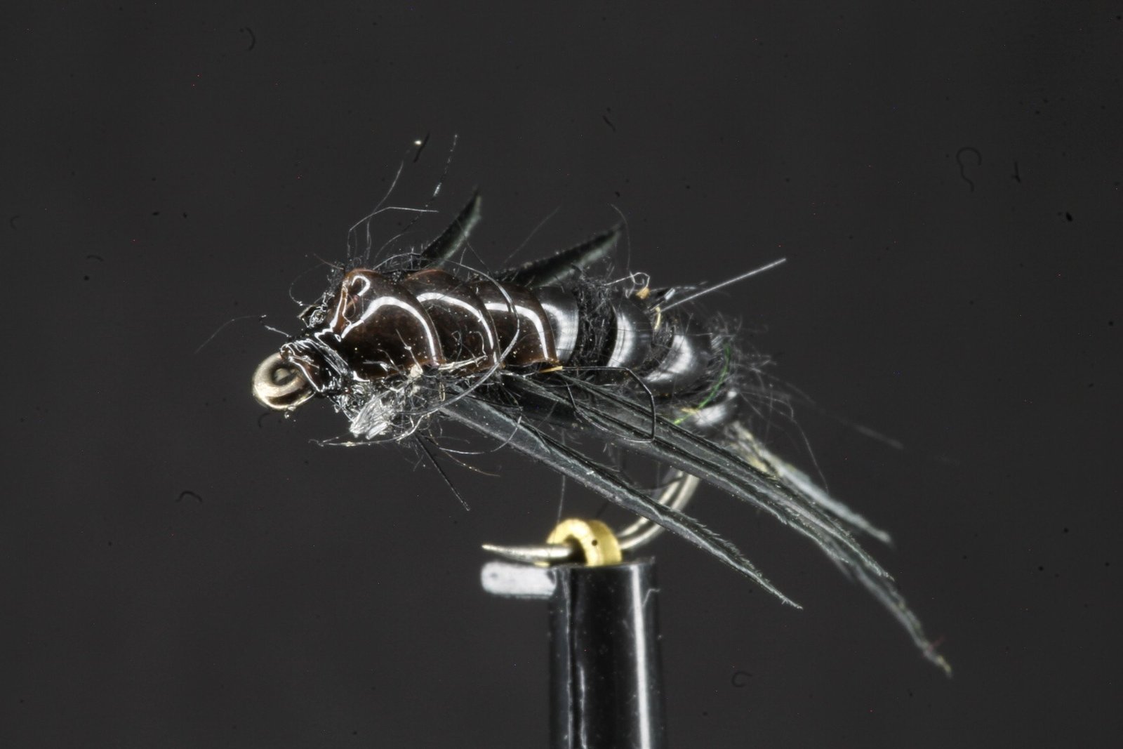 Black Stonefly Nymph